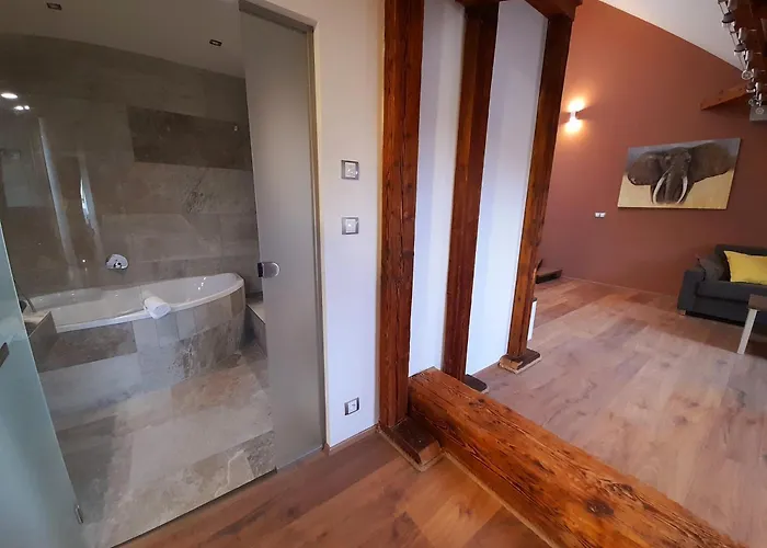 호텔 Marianska 체스케부데요비체